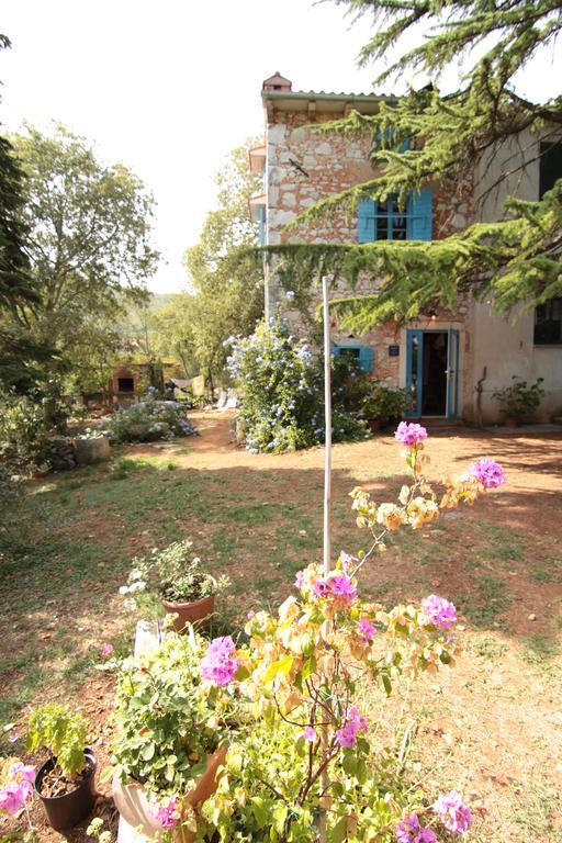 Holiday Home Botanica Drenje (Istria) Quarto foto
