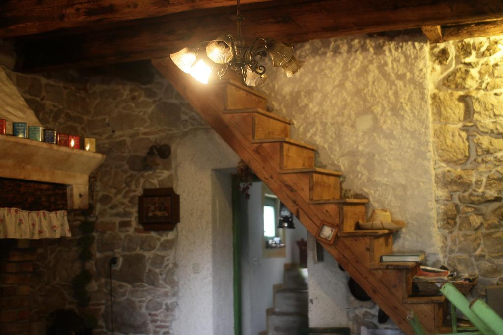 Holiday Home Botanica Drenje (Istria) Quarto foto