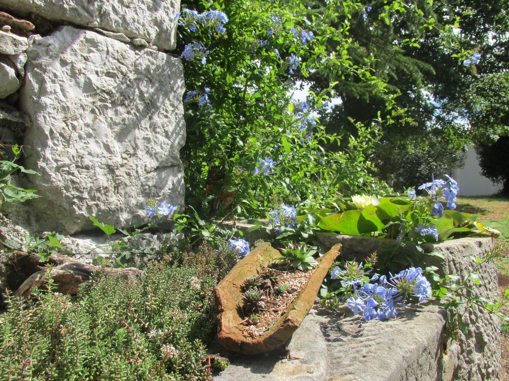 Holiday Home Botanica Drenje (Istria) Quarto foto