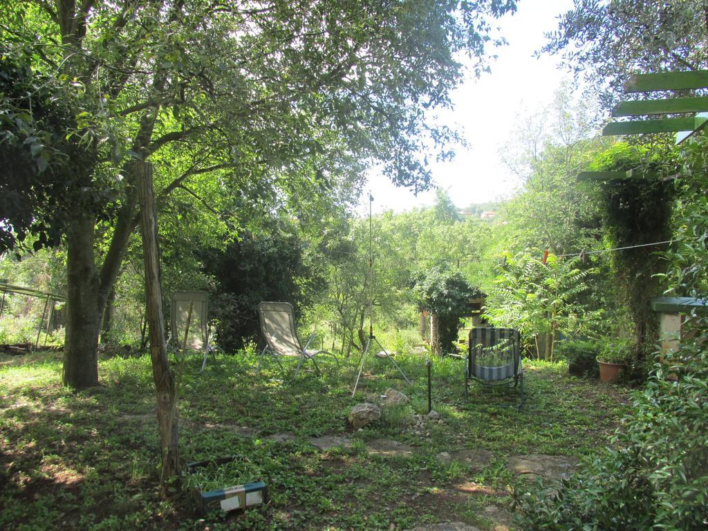 Holiday Home Botanica Drenje (Istria) Quarto foto
