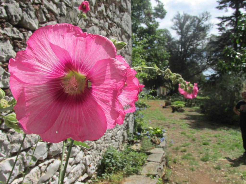 Holiday Home Botanica Drenje (Istria) Quarto foto