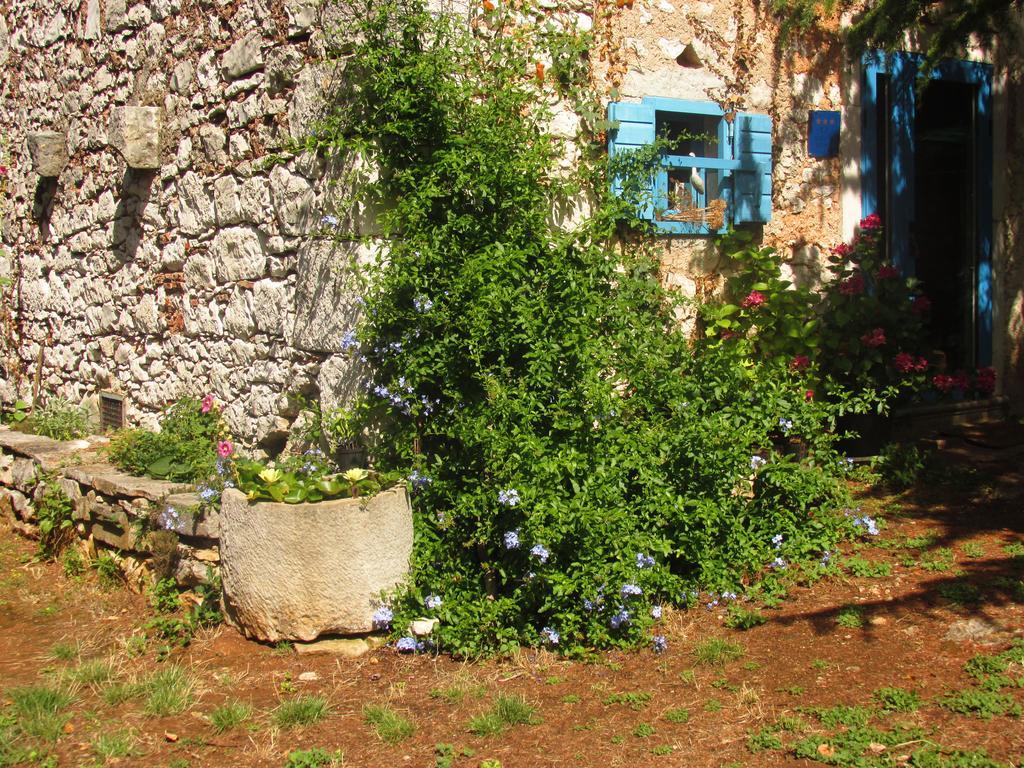 Holiday Home Botanica Drenje (Istria) Quarto foto